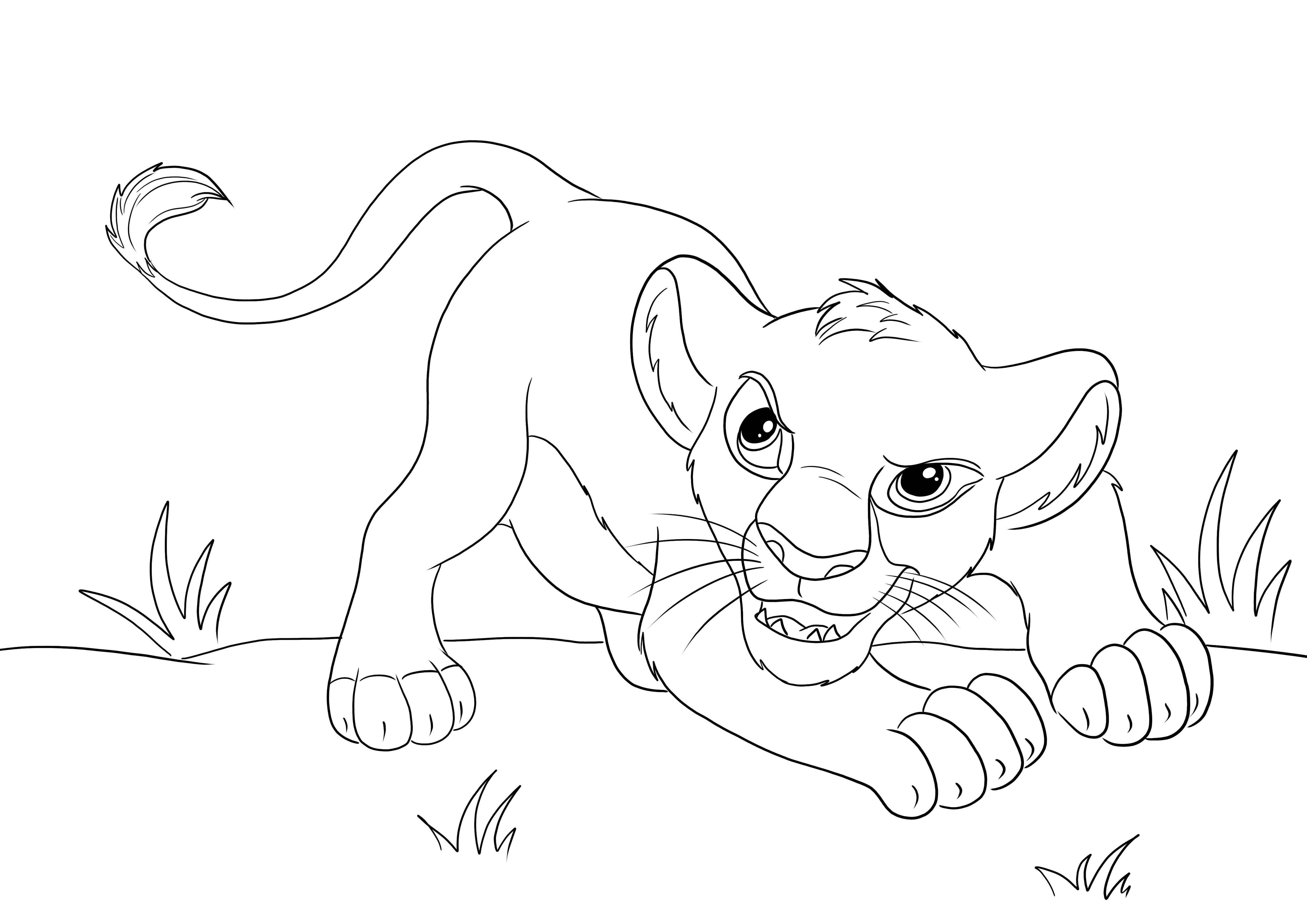 Íme, Simba megvédi magát, könnyen színezhető és szabadon nyomtatható színező kép