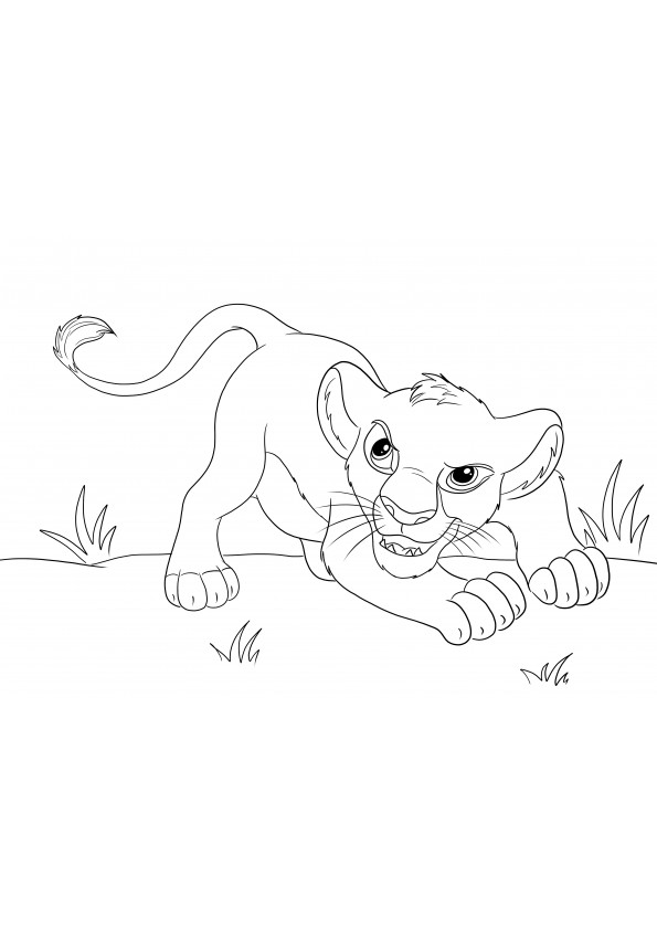 Voici Simba se défendant image à colorier facile à colorier et à imprimer gratuitement