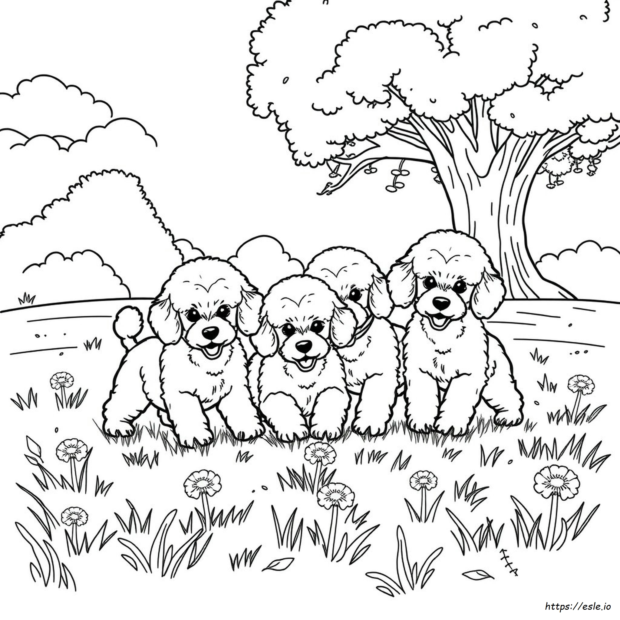Poodle Dog Coloring Pages