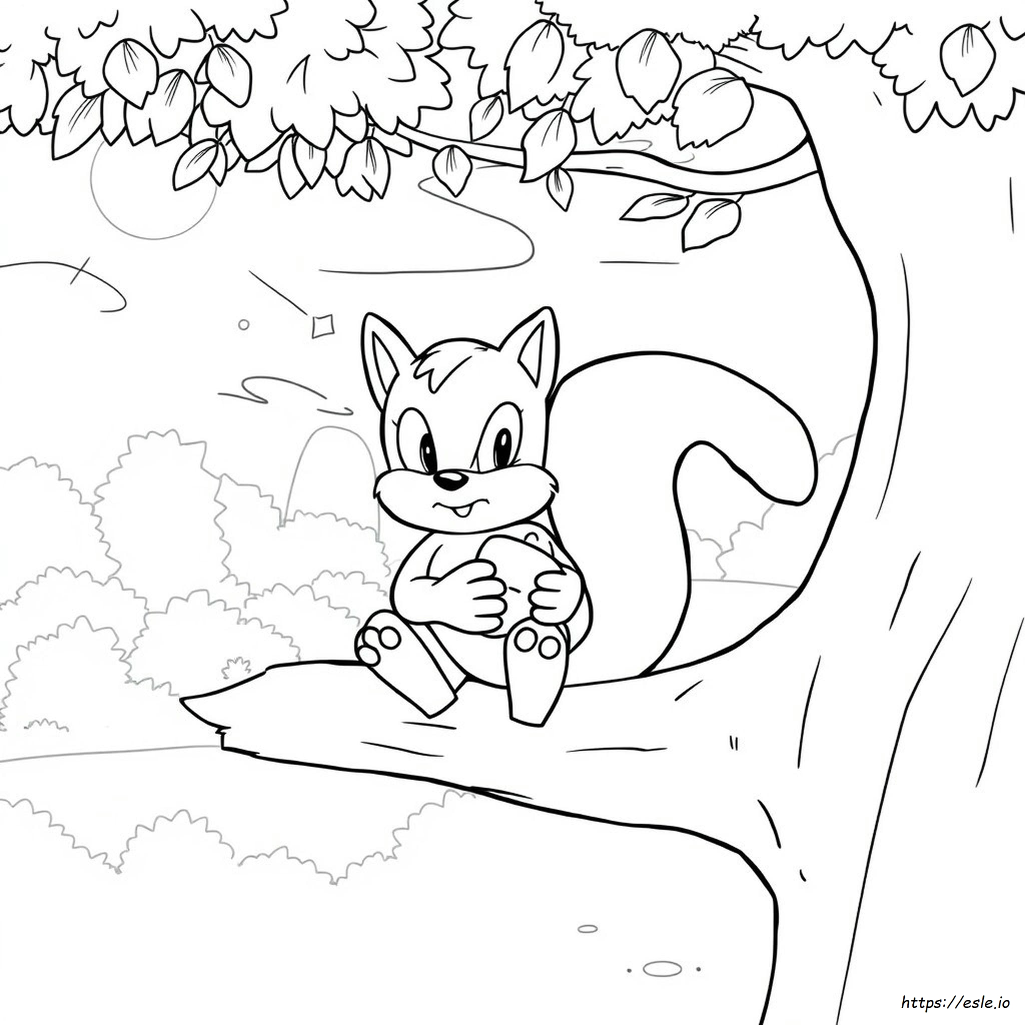 Sonic The Hedgehog Kleurboek Pagina's kleurplaat