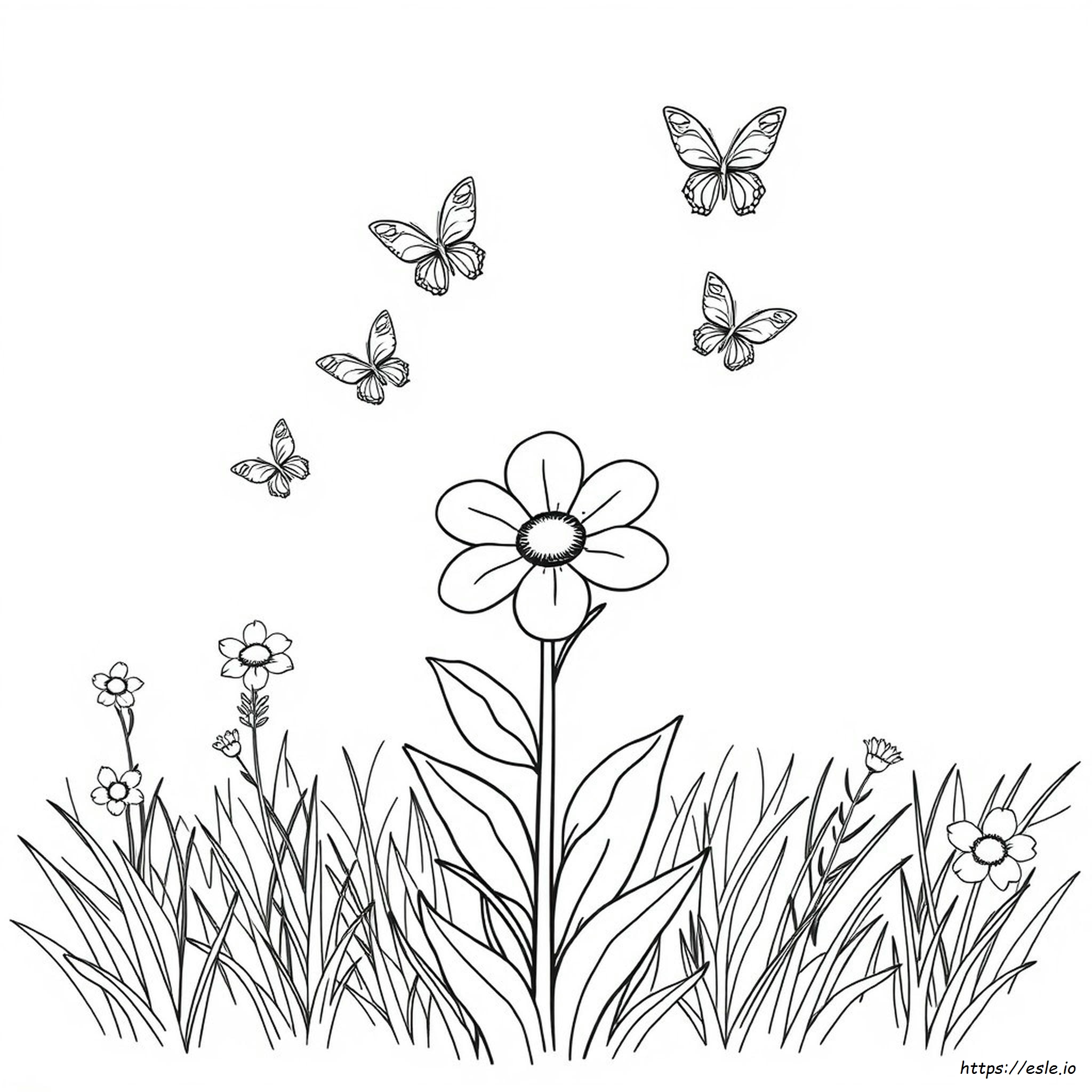 Flor Maravilha Para Colorir