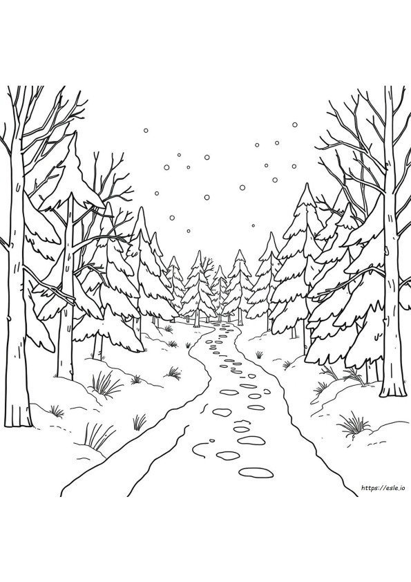 Coloriages Forêt D'hiver