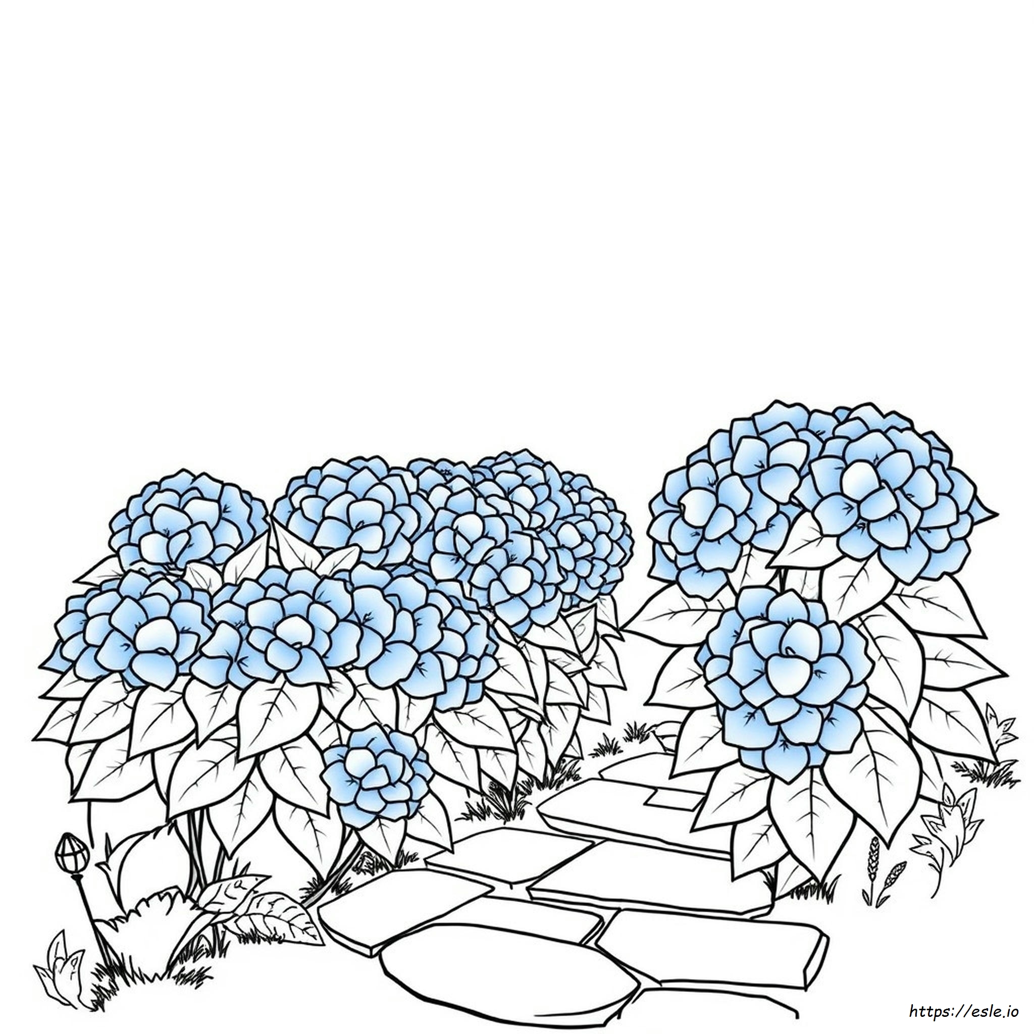 Como Colorir Hortênsias De Azul
