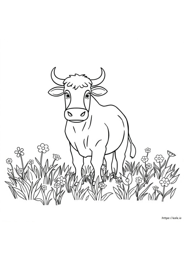 Coloriage Boeuf