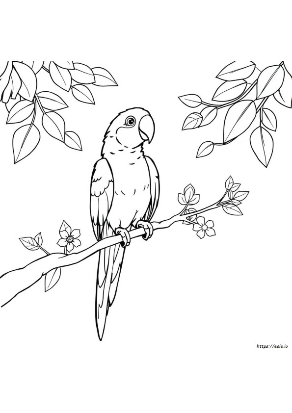 Coloriages Perroquet Facile