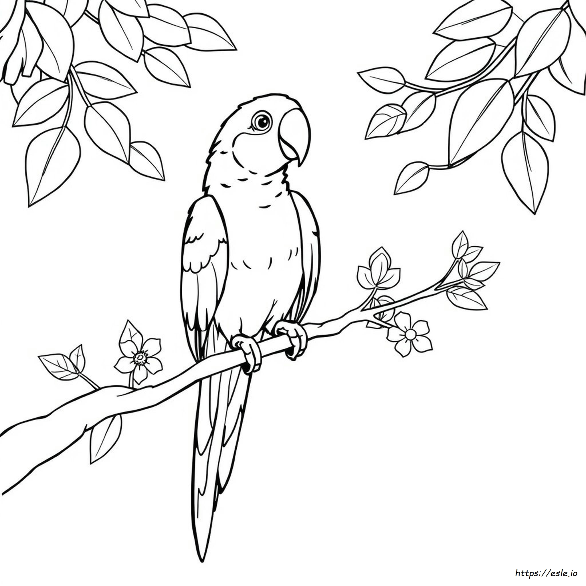 Easy Parrot Colouring Pages