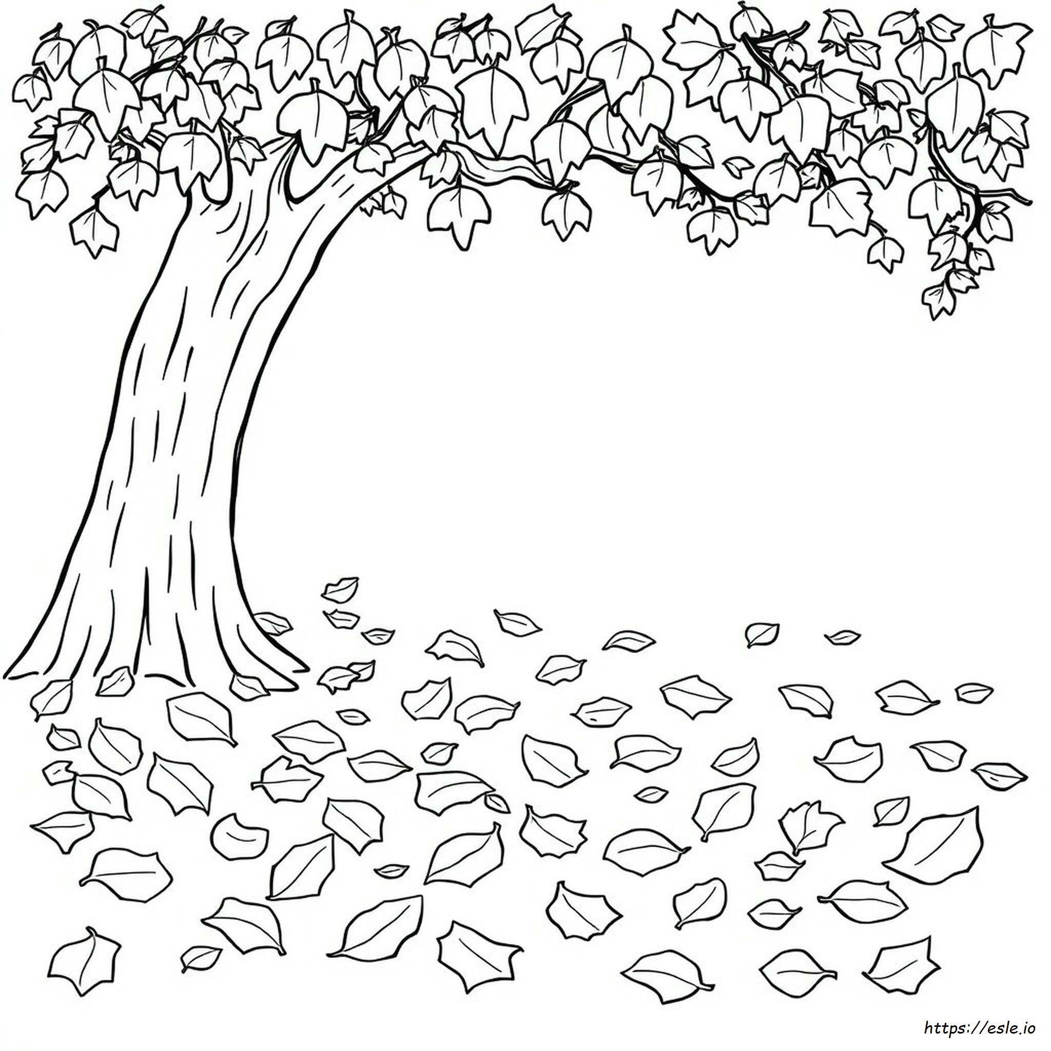 Fall Leaves For Coloring Pages