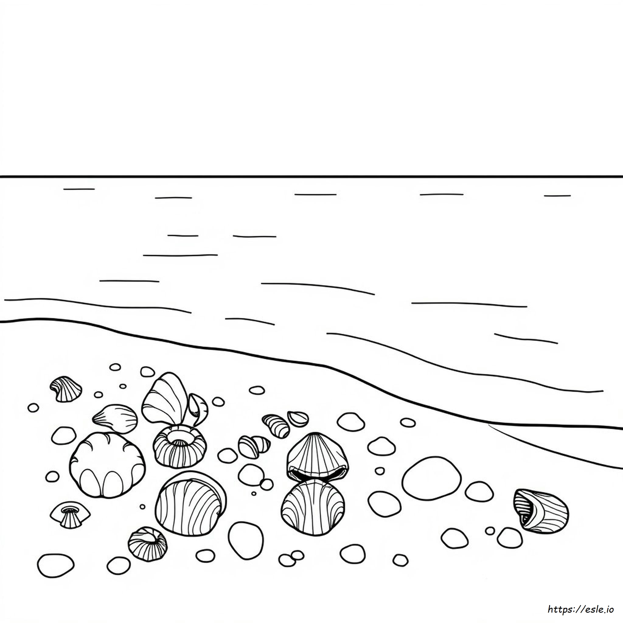 Free Printable Seashell Coloring Pages