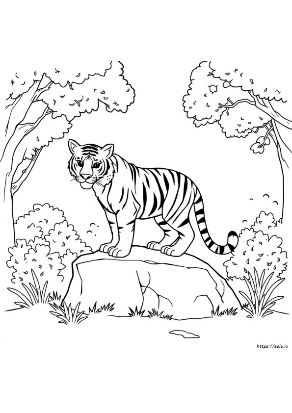 Immagine Da Colorare Di Tigre