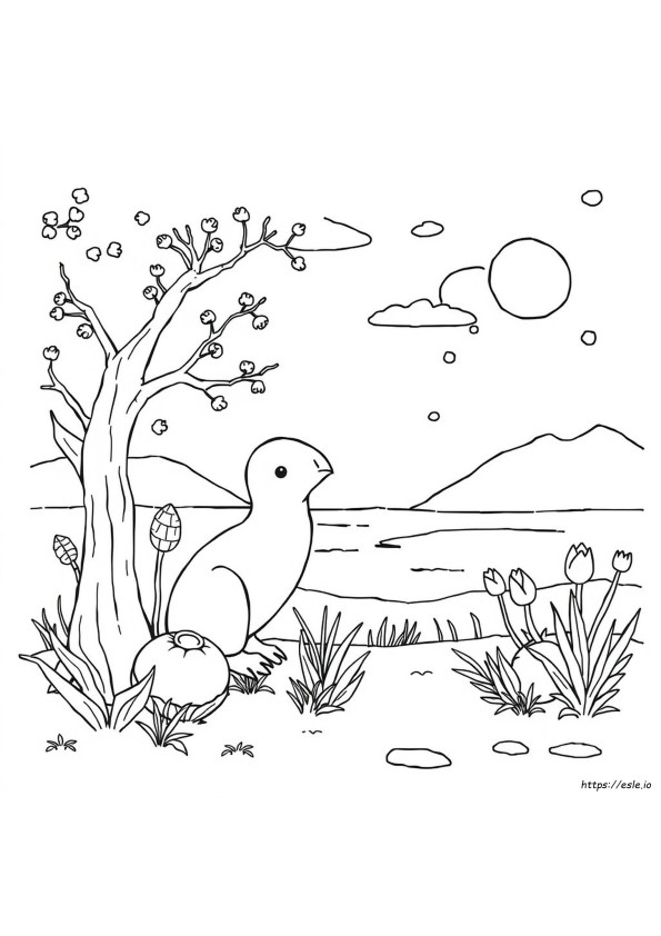 Ile Jest Kolorów Markerów Copic