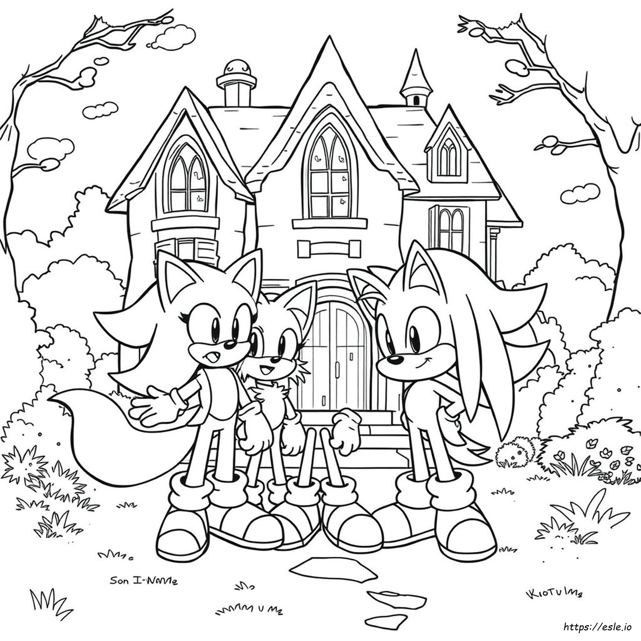 Sonic Tails And Knuckles Coloring Pages