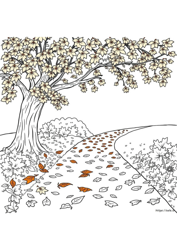 Coloring Pages For Adults Autumn