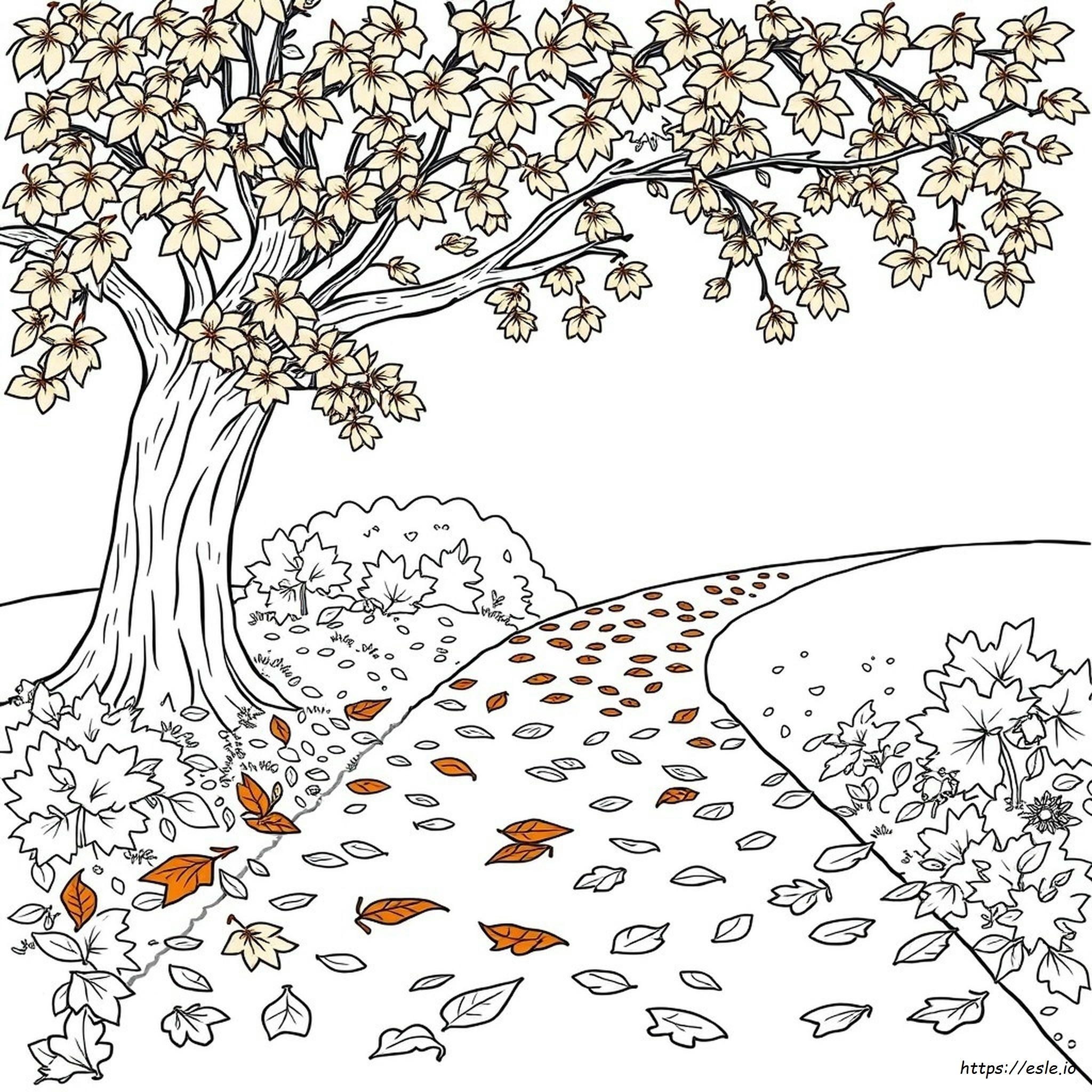 Coloring Pages For Adults Autumn
