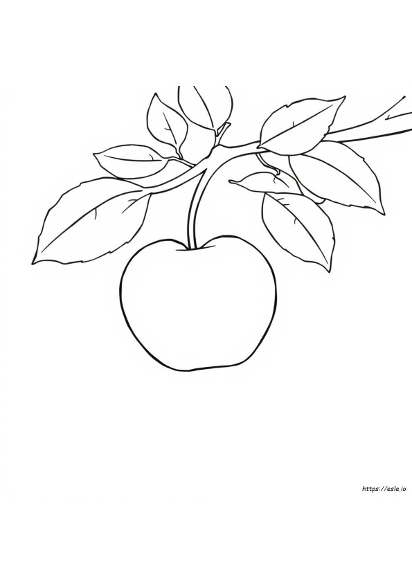 Picture Of Apple For Colouring