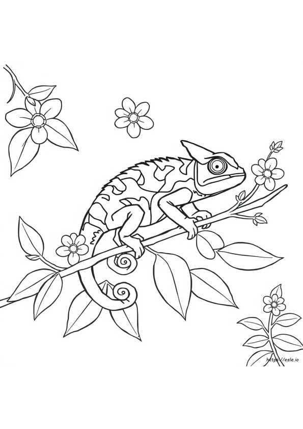 Gambar Mewarnai Bunglon