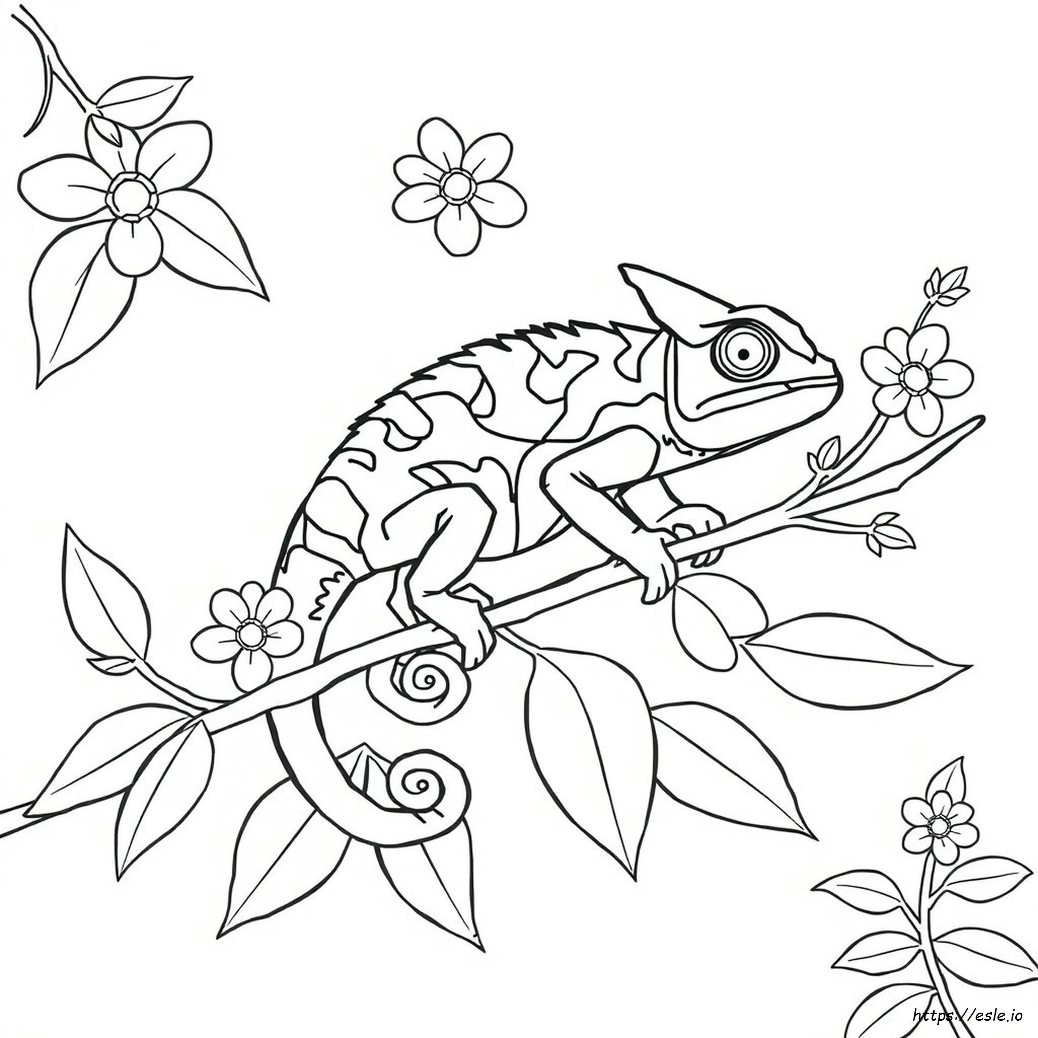 Chameleon Colouring Pages