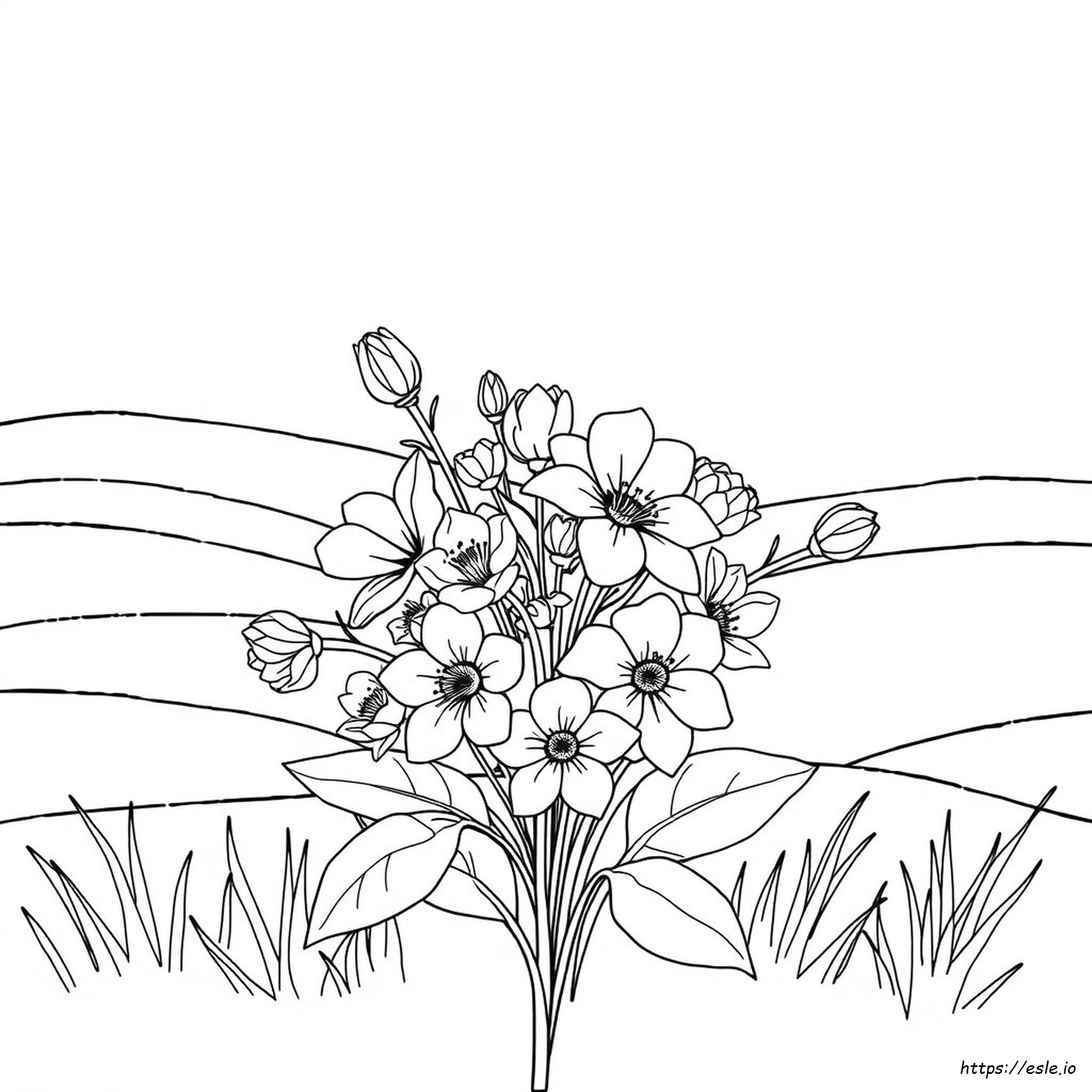 Floral Coloring Pages For Adults Printable