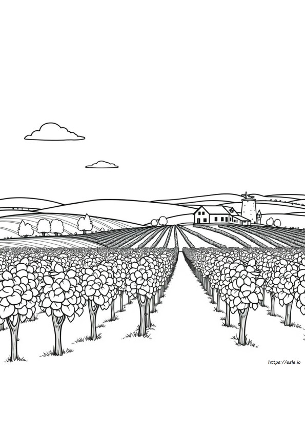 Kolorowanki Vineyard Vines