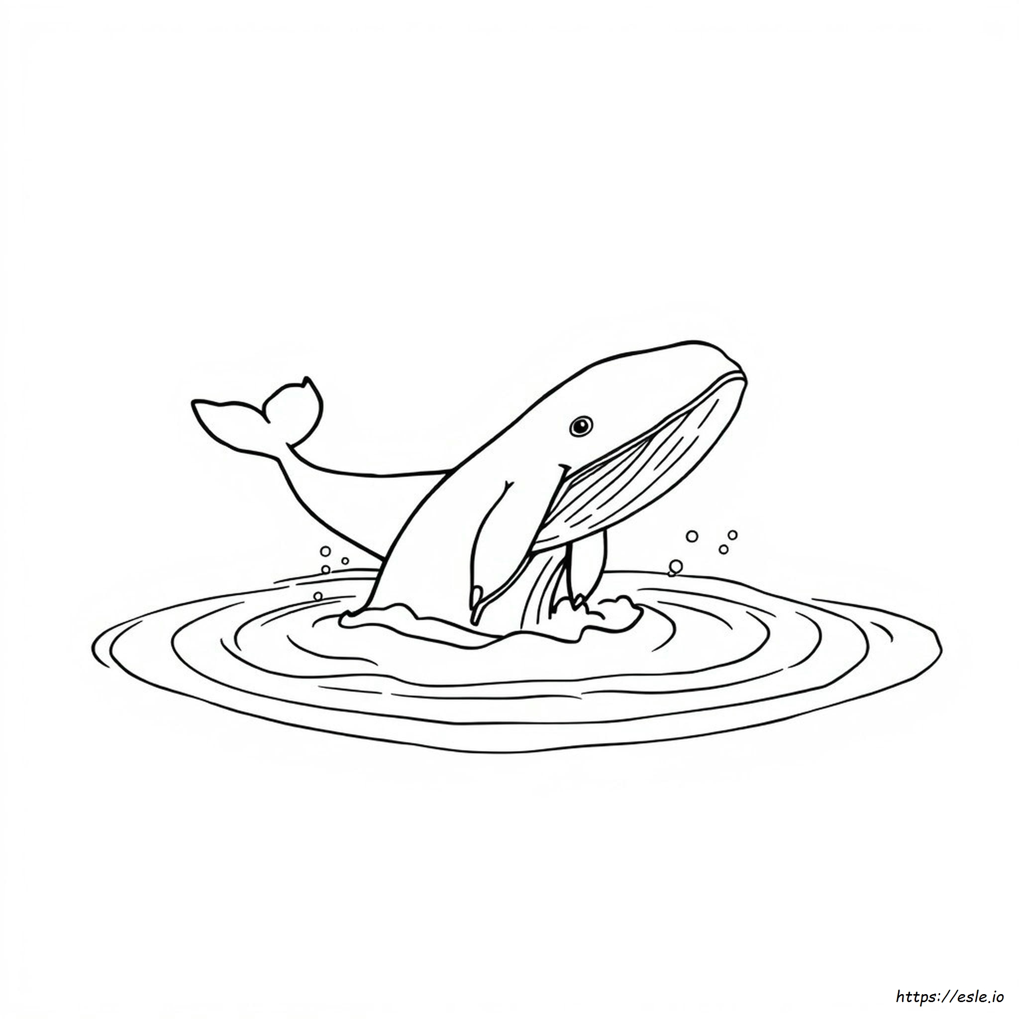 Whale Coloring Pictures