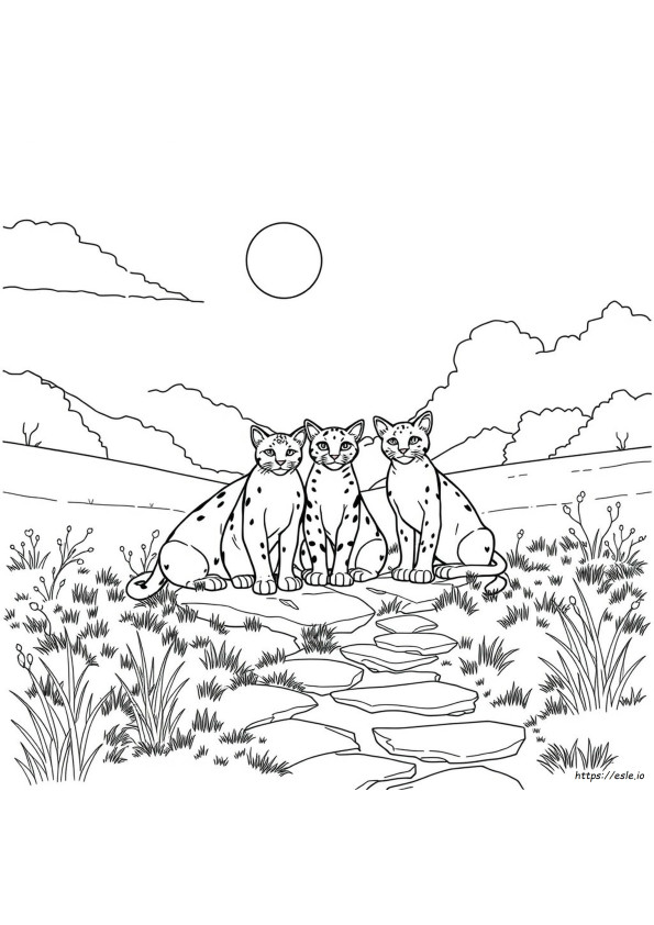 Warrior Cats Ausmalbilder