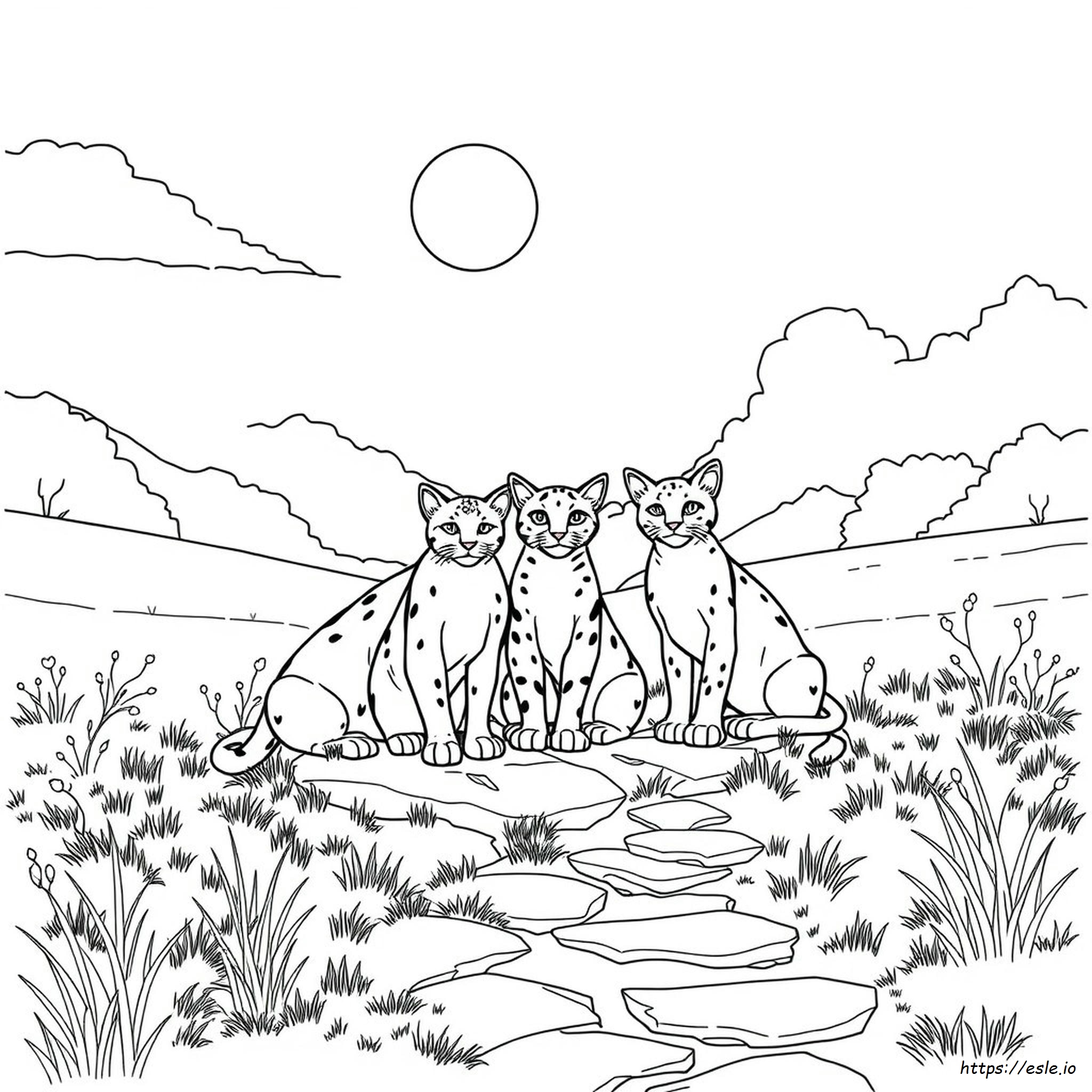 Warrior Cats Coloring Pictures