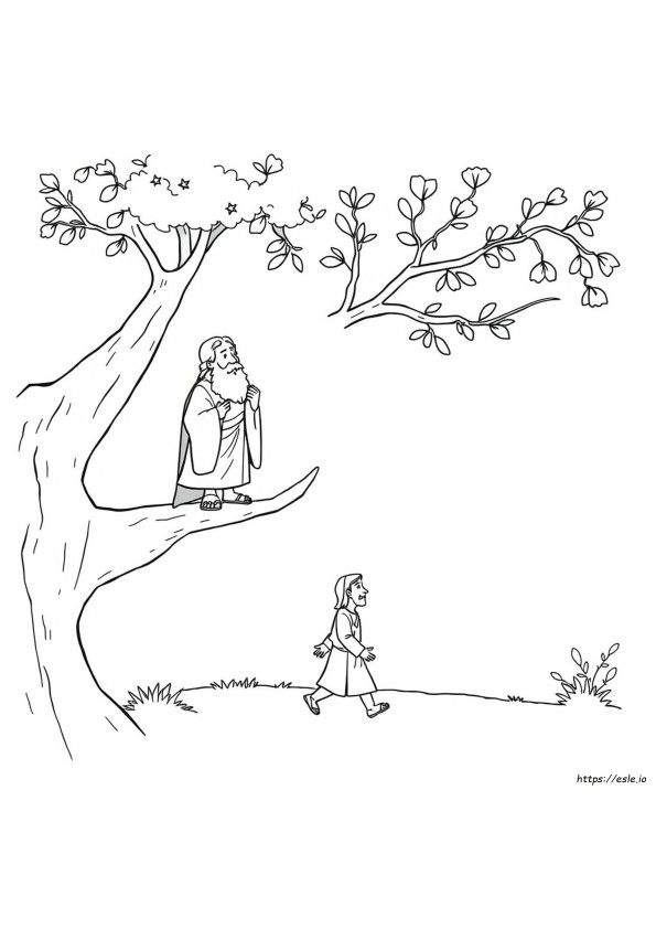 Zacchaeus In The Bible Coloring Page