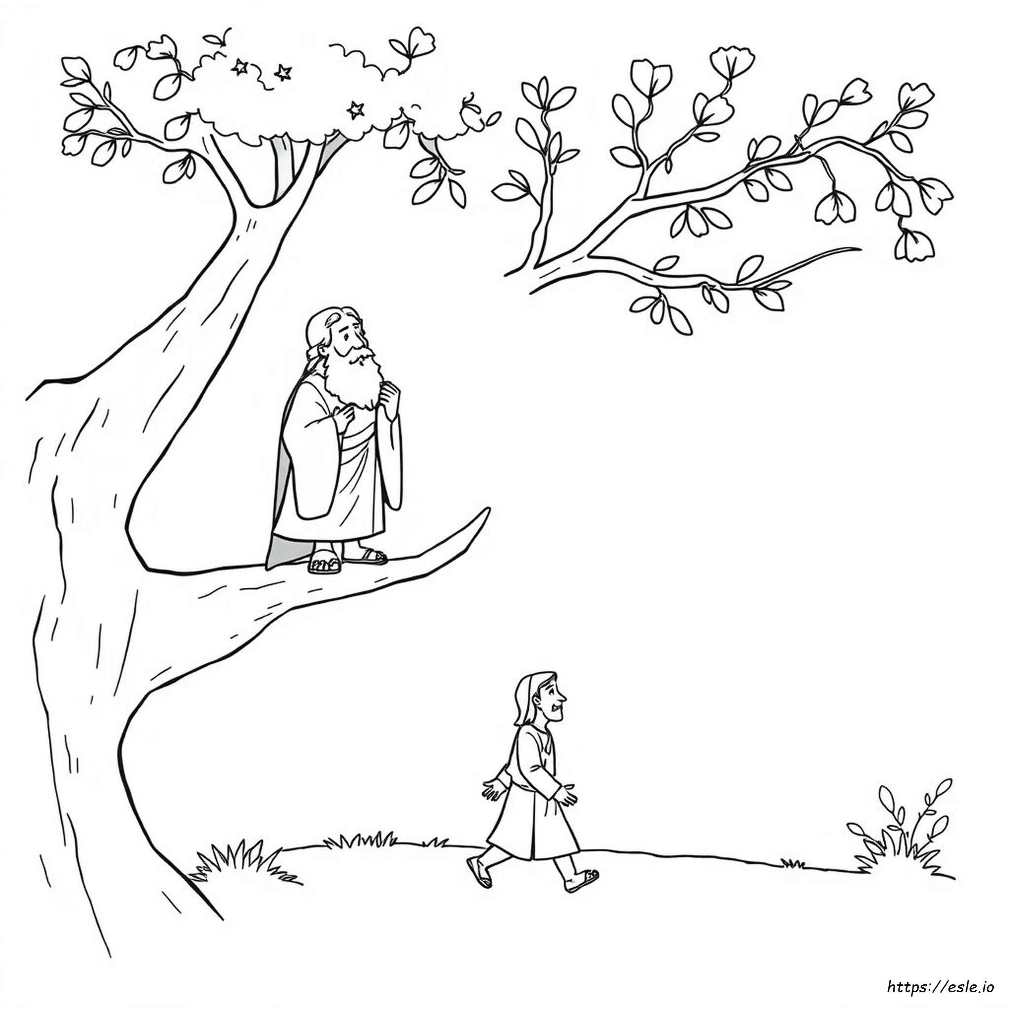 Zacchaeus In The Bible Coloring Page