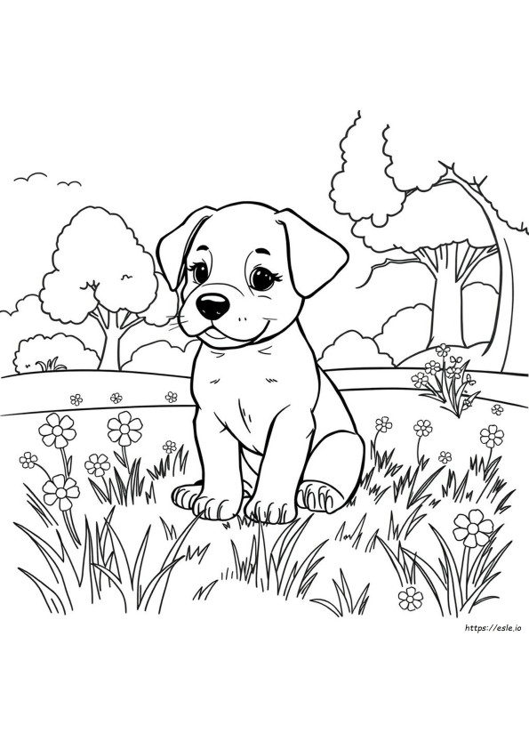 Realistic Puppy Coloring Pages