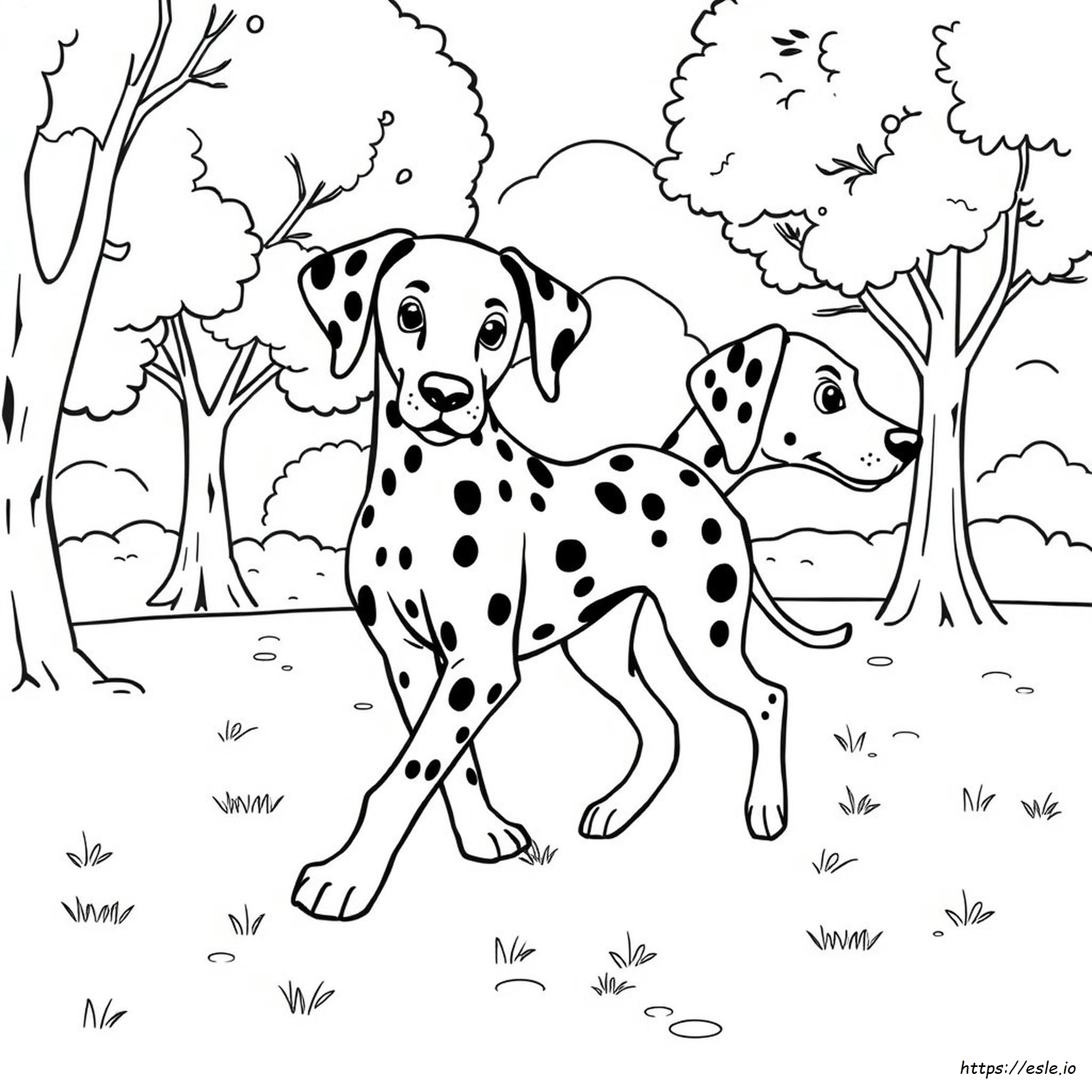 Dalmatian Coloring Page