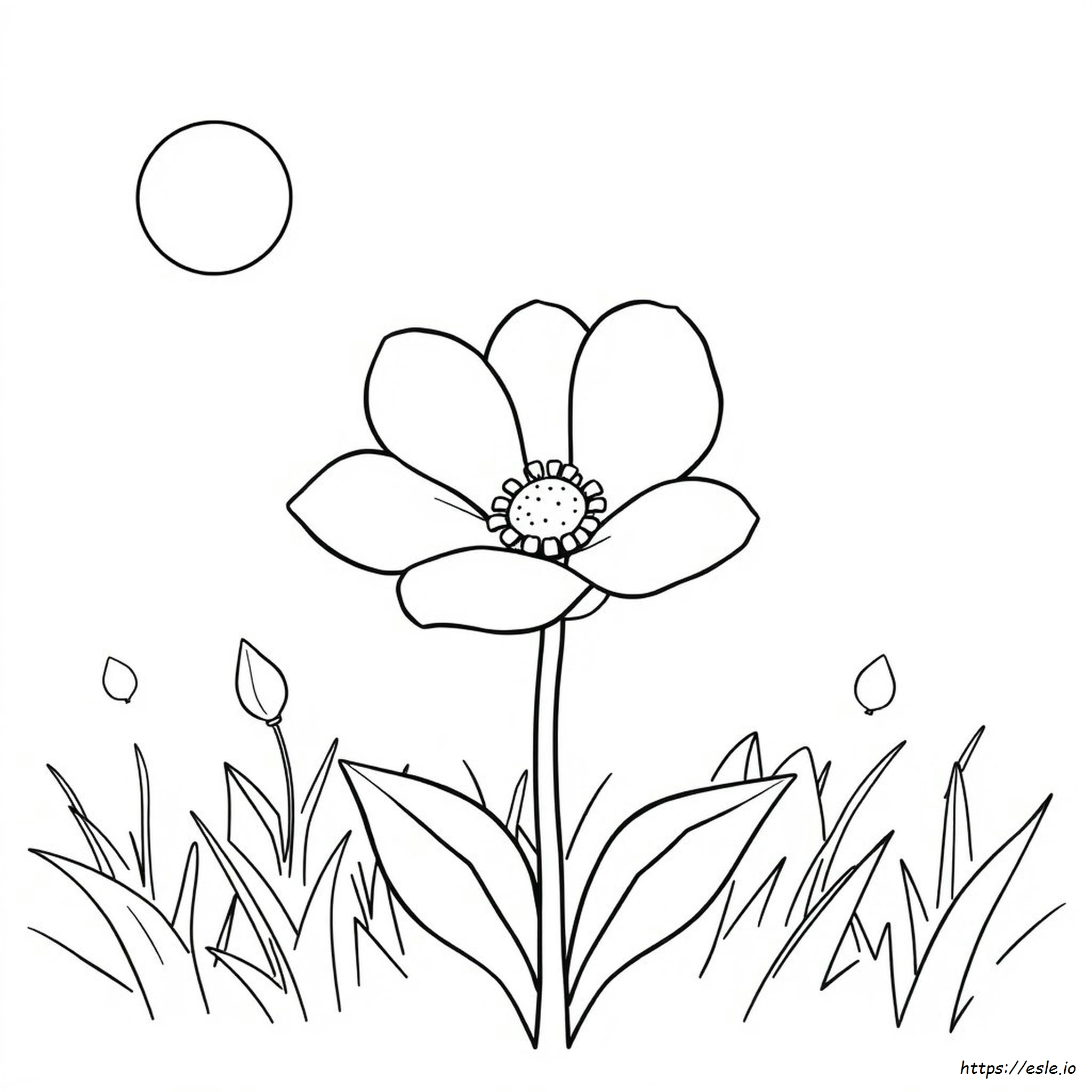 Disegni Da Colorare Facili E Stampabili Per Pazienti Con Demenza