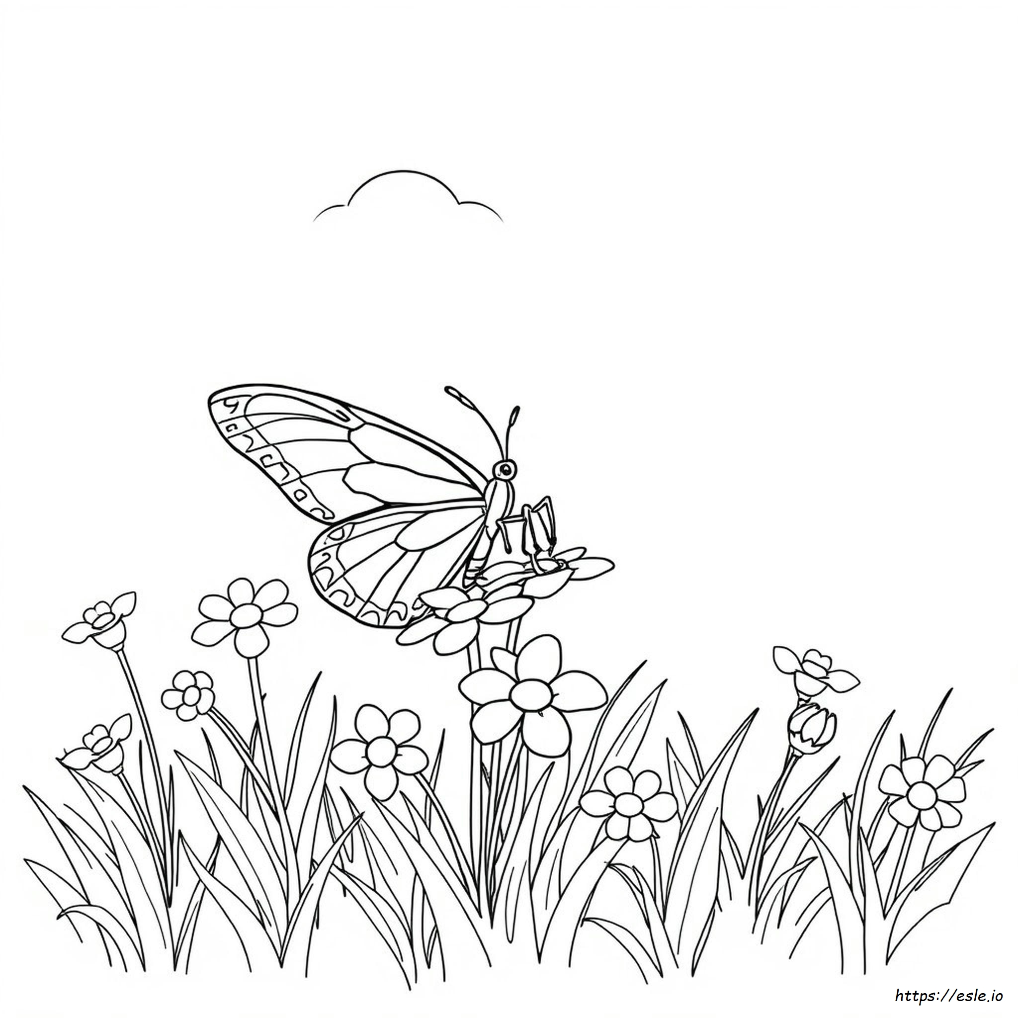 Coloring Image Of Butterfly