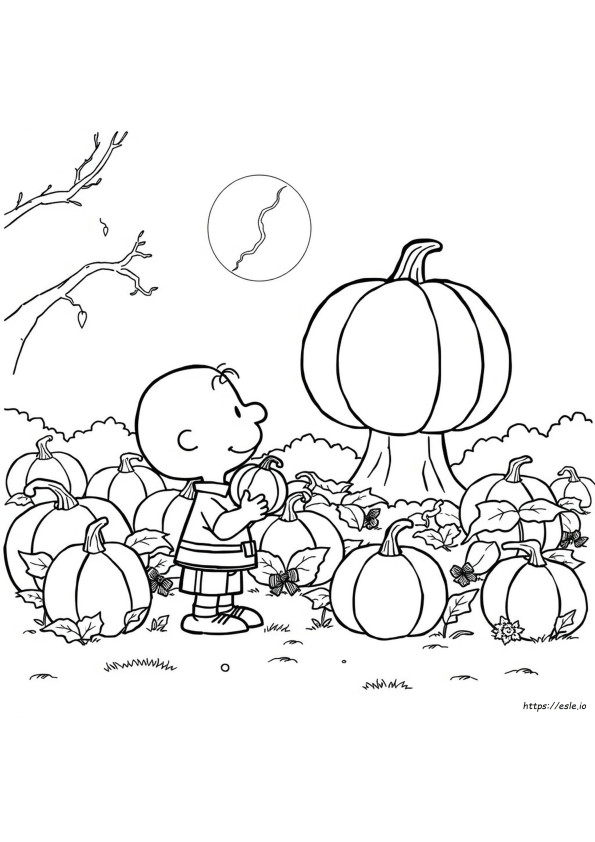 Charlie Brown E Il Grande Cocomero: Disegni Da Colorare