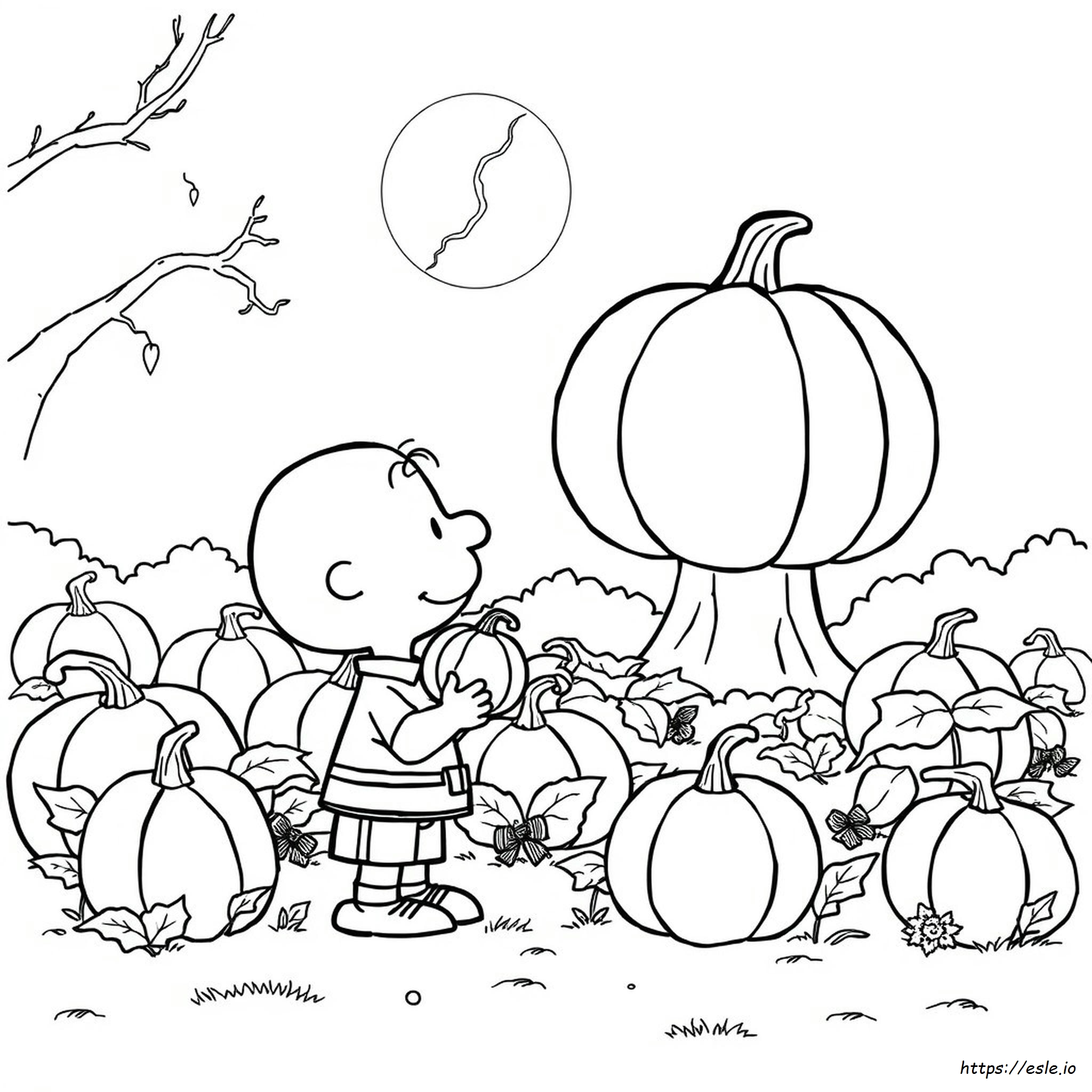 Charlie Brown De Geweldige Pompoen Kleurplaten kleurplaat