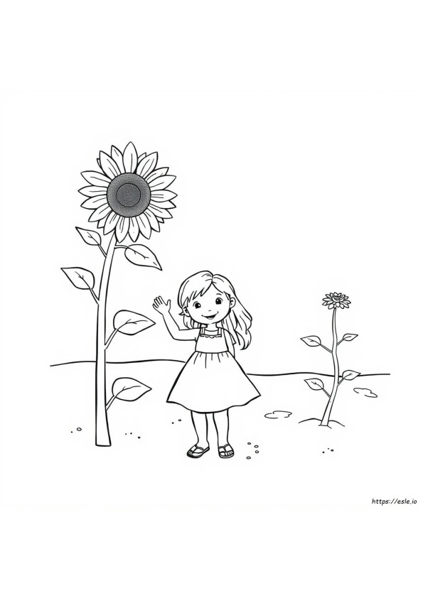 Summer Coloring Pages Toddlers
