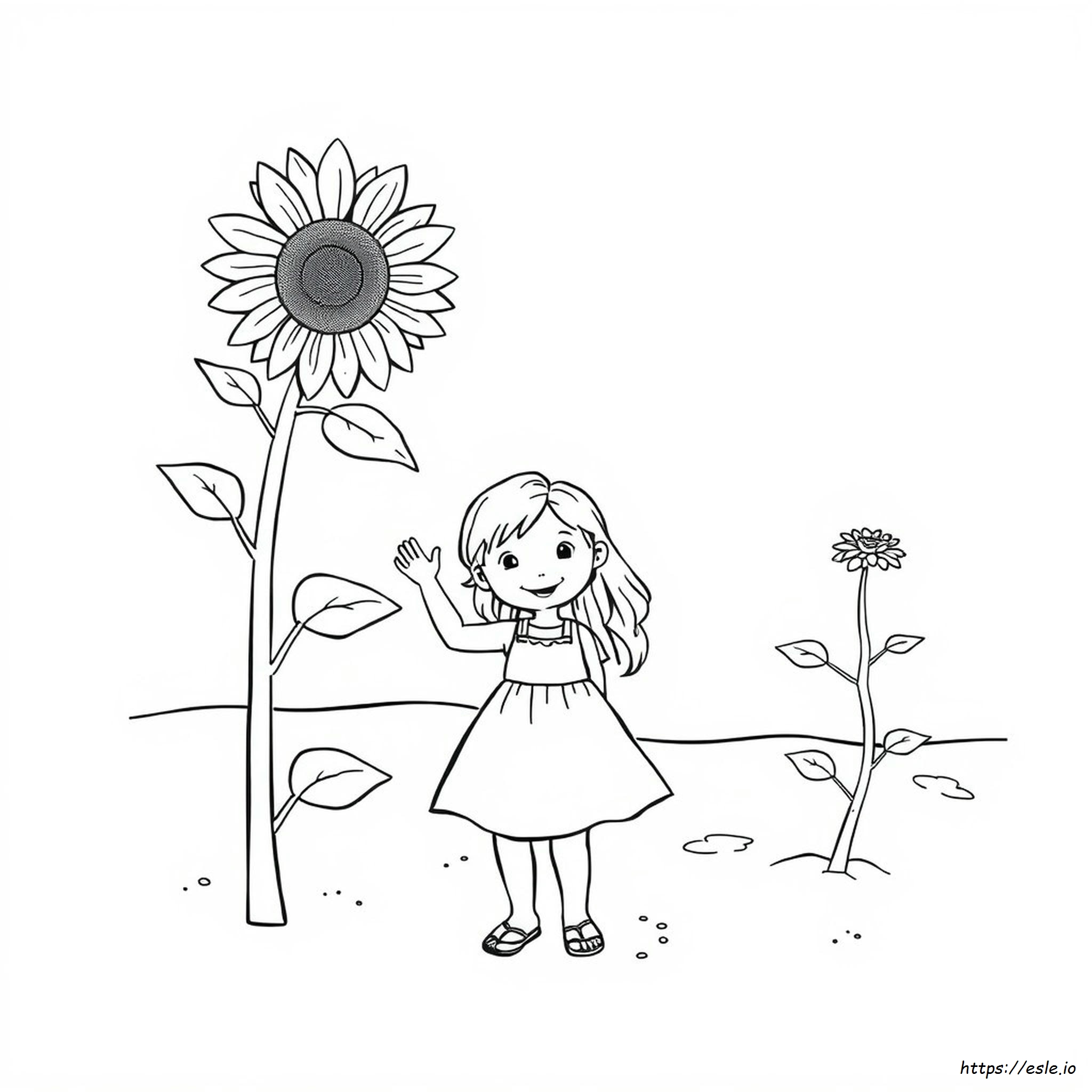 Summer Coloring Pages Toddlers