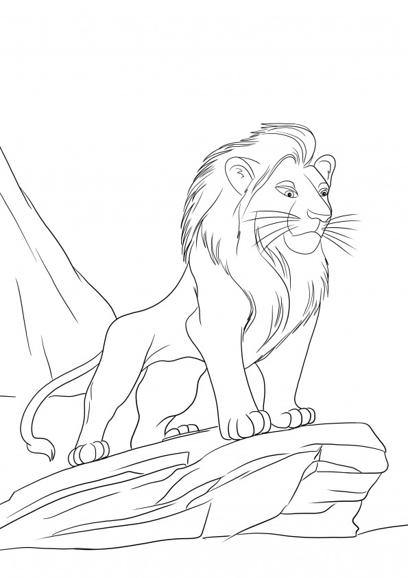 Image à colorier de Simba regardant en bas de la colline gratuite à imprimer et à télécharger pour colorier