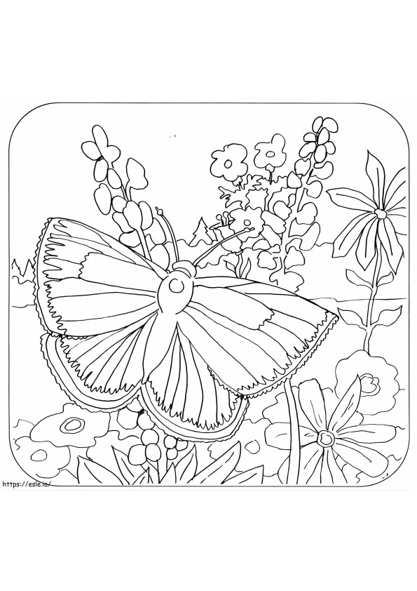 Mission Blue Butterfly coloring page