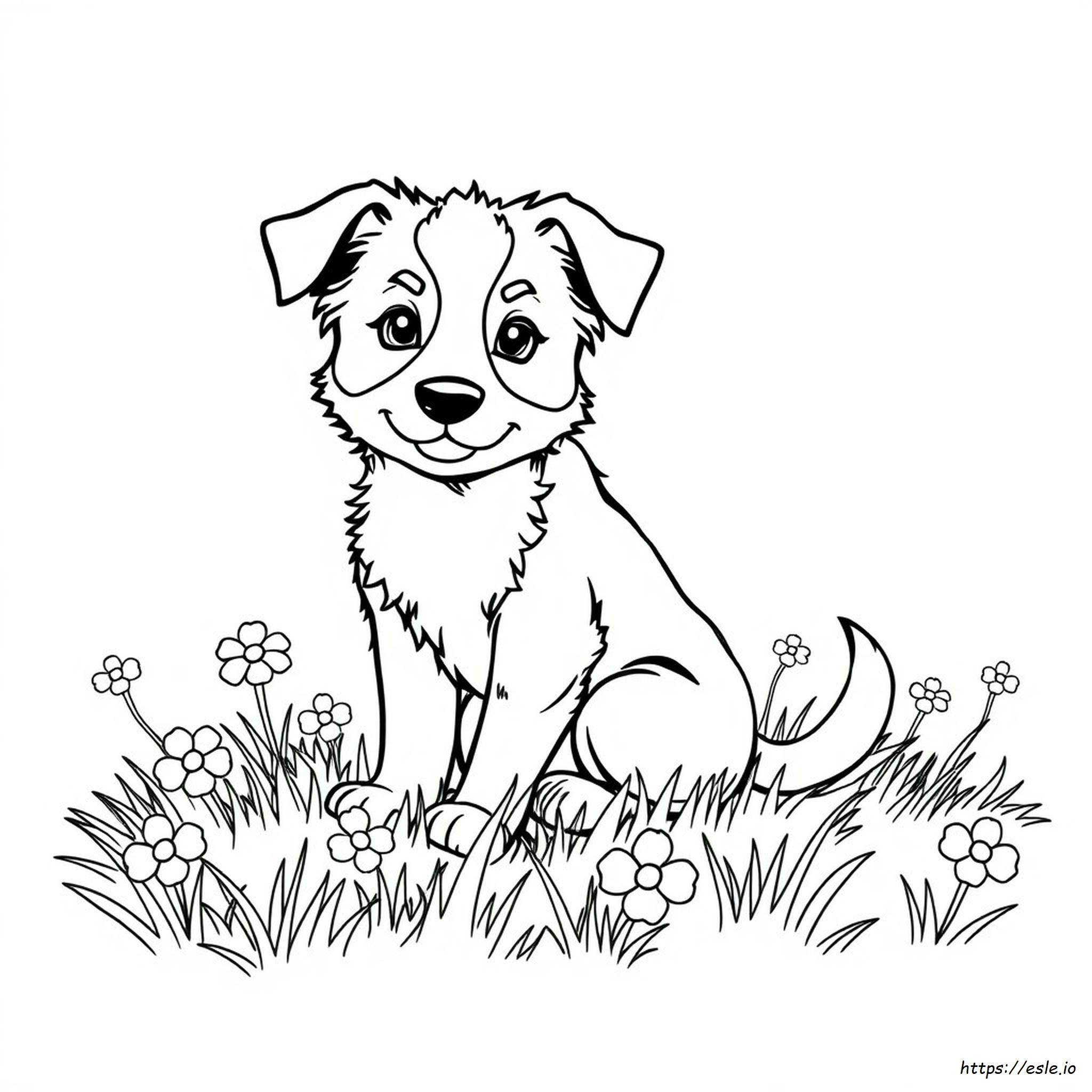 Border Collie Puppy Coloring Pages
