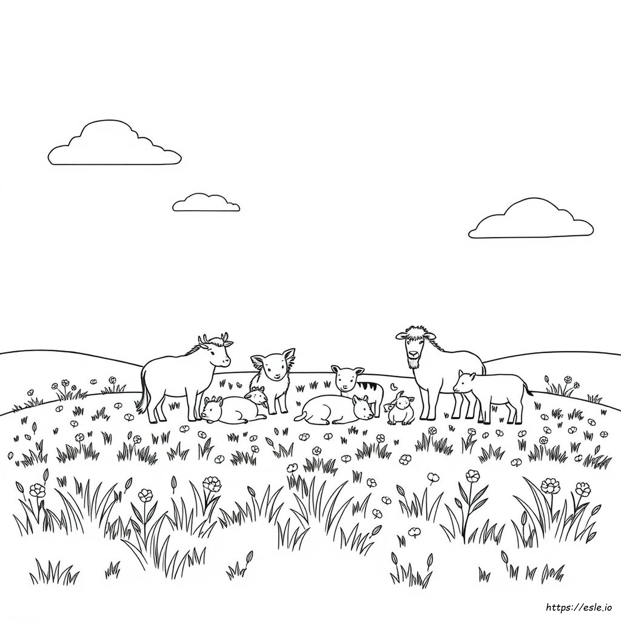Desenhos De Animais Para Colorir Adultos