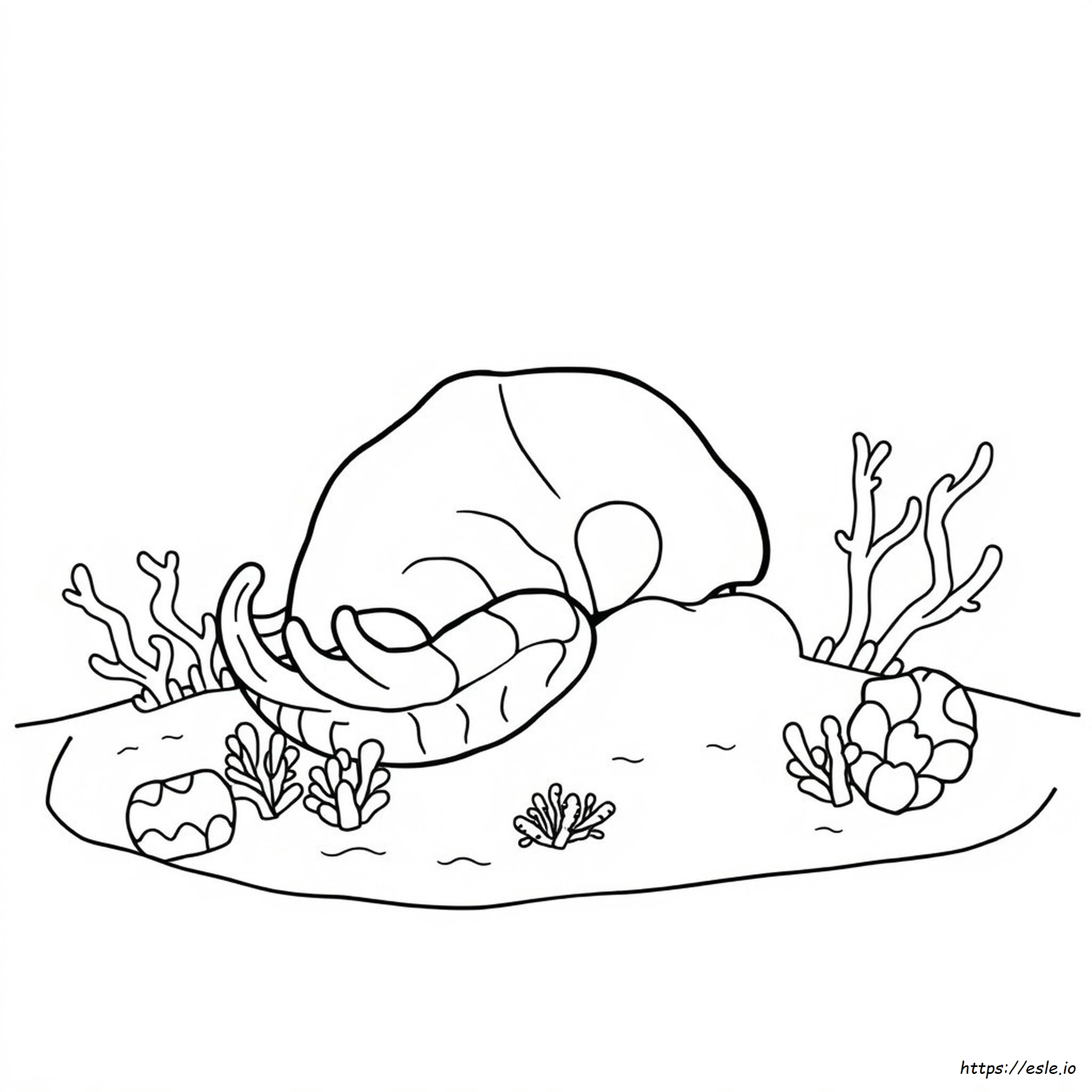Giant Clam Coloring Page