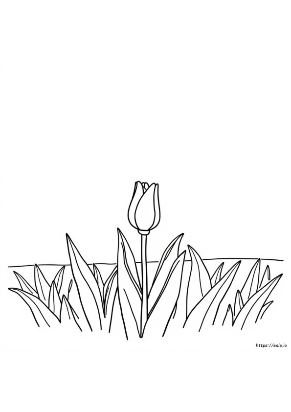 Coloriage De Tulipe