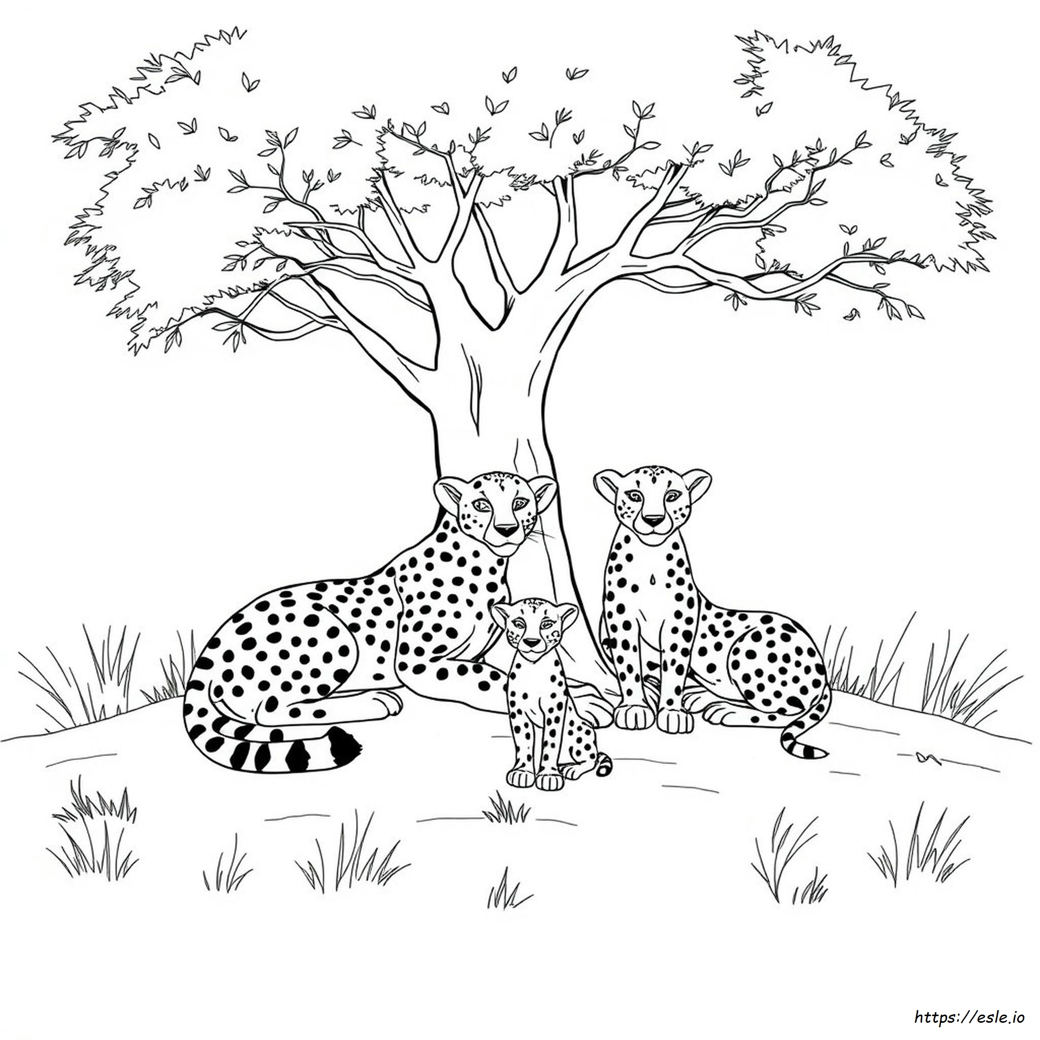 Cheetah Family Coloring Page