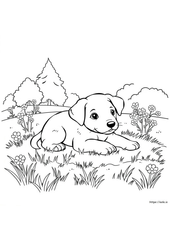 Printable Realistic Puppy Coloring Pages