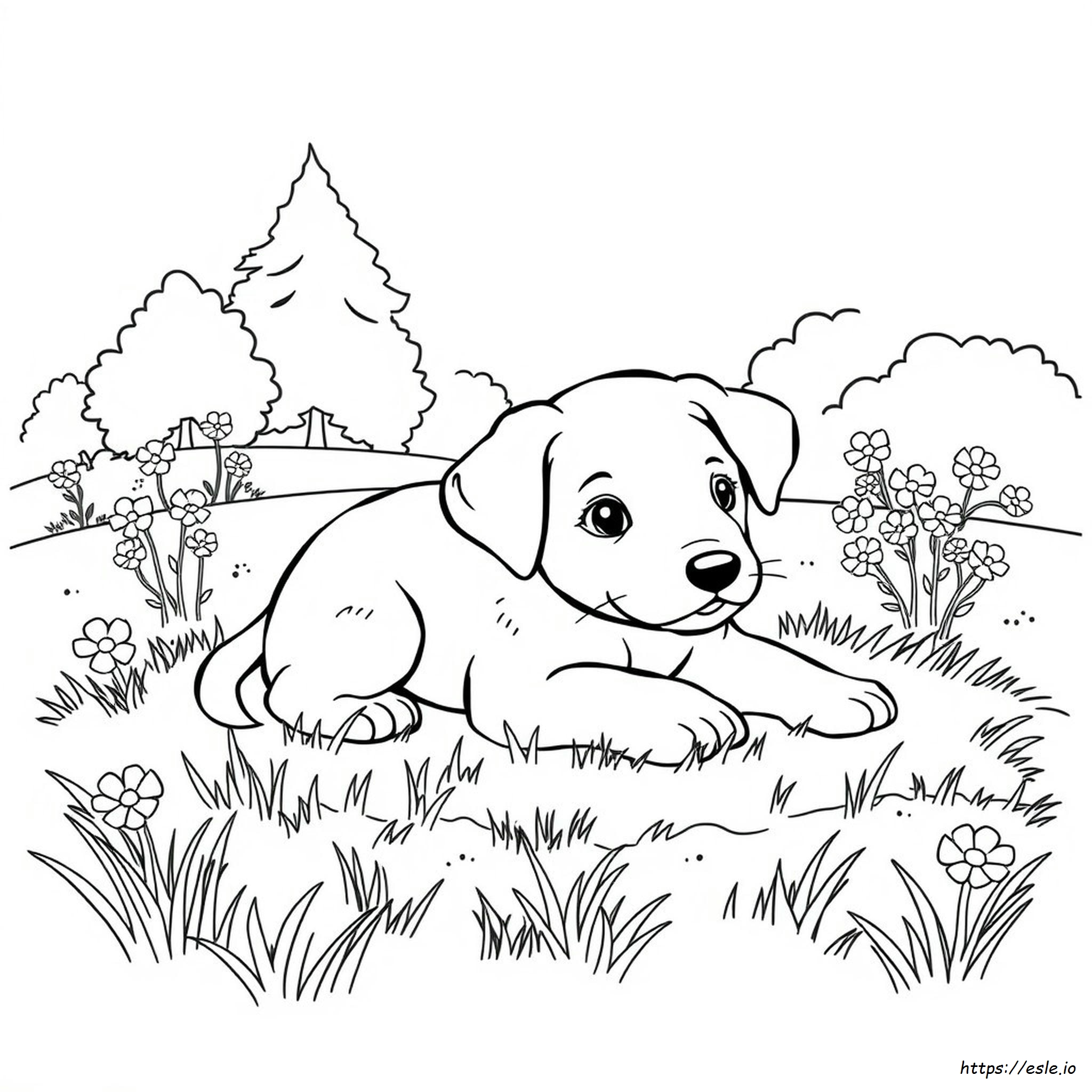 Printable Realistic Puppy Coloring Pages