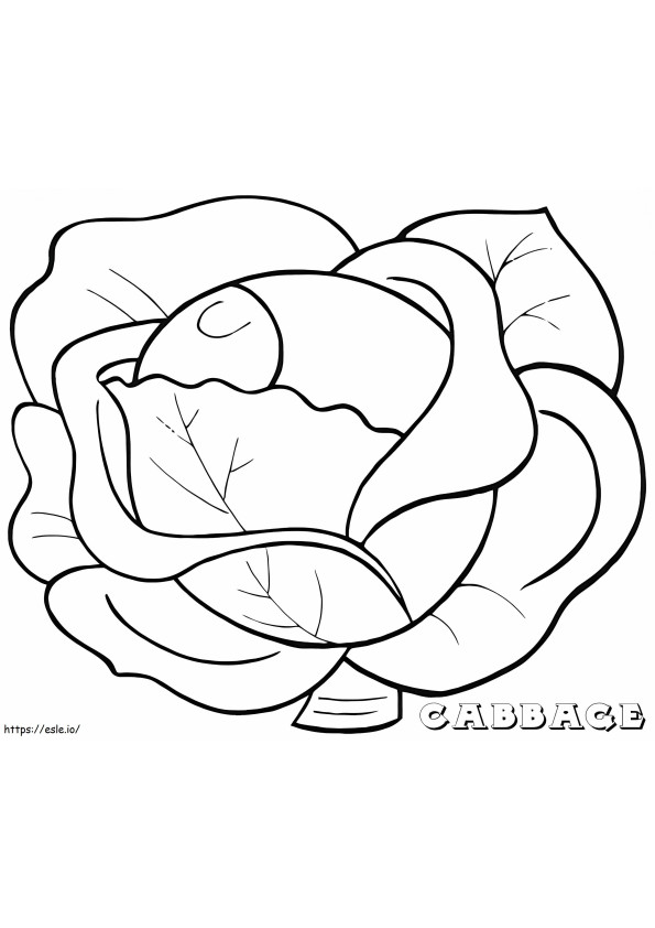 Green Cabbage 3 coloring page