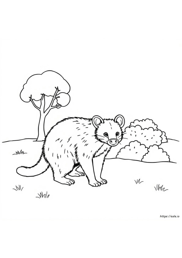 Diavolo Della Tasmania Da Colorare