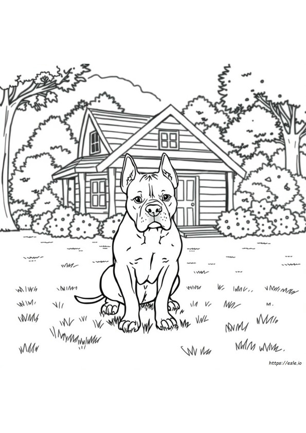 Páginas Para Colorear De Perros Pitbull Realistas