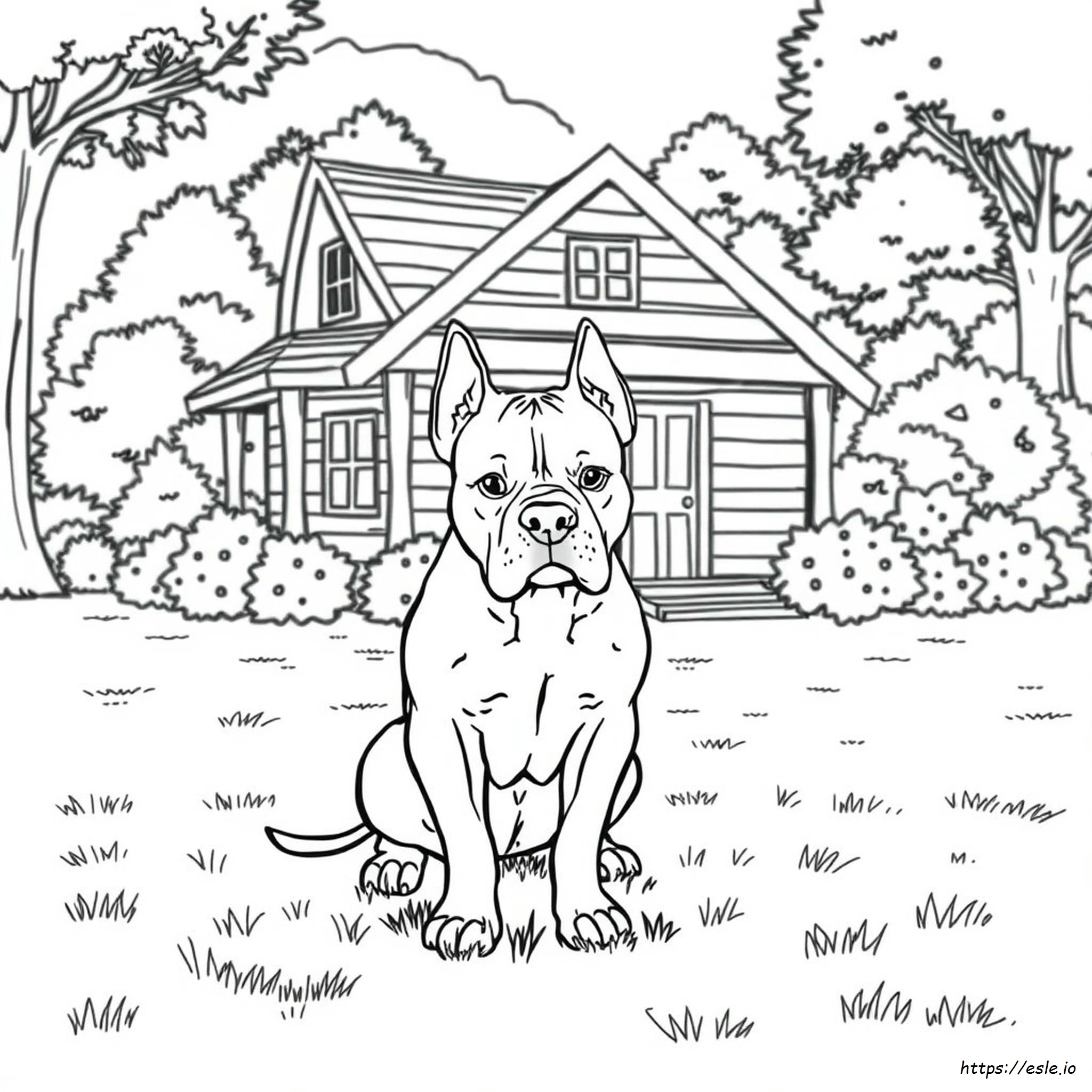 Realistic Pitbull Dog Coloring Pages