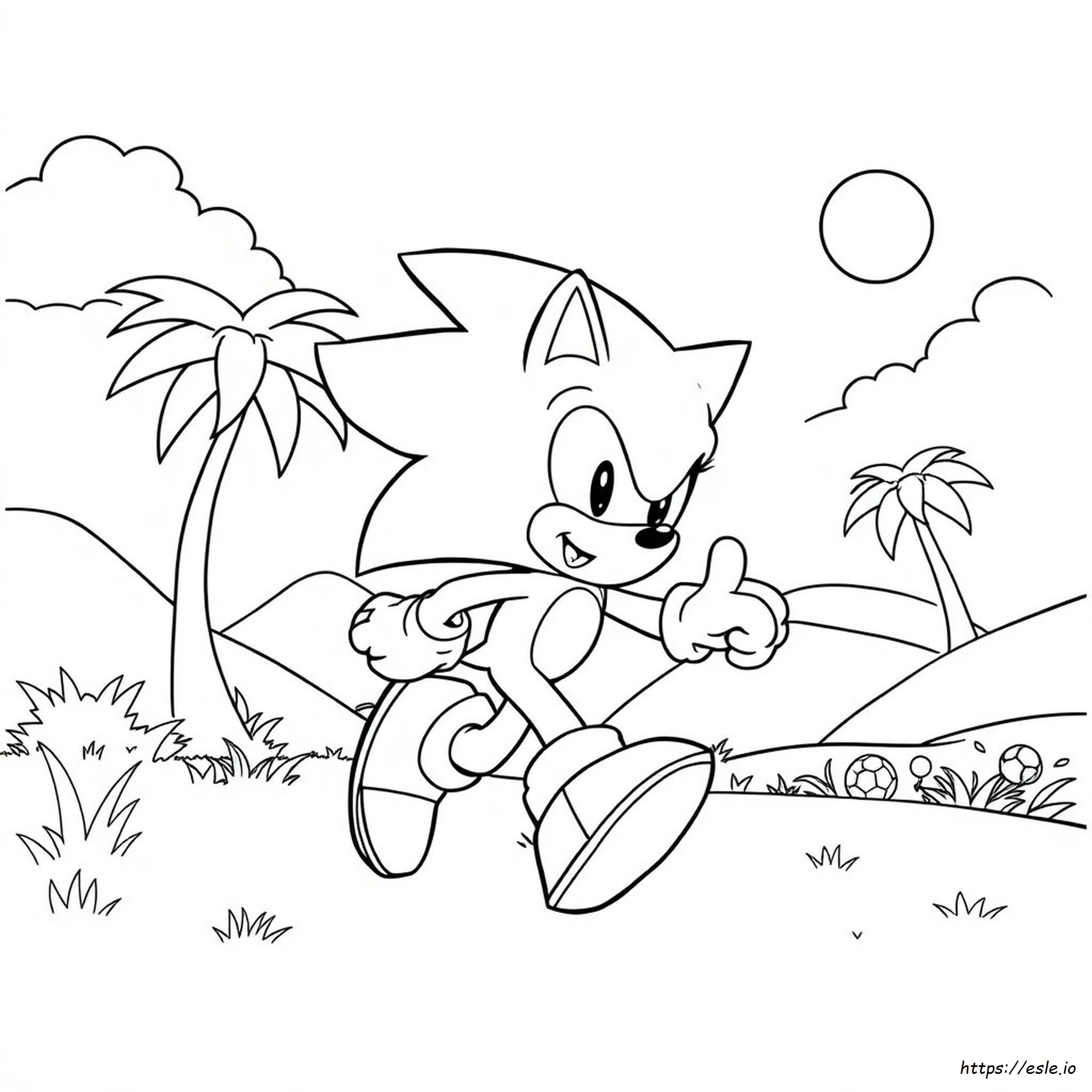 Desenhos Do Sonic Para Colorir Grátis Para Imprimir Para Crianças