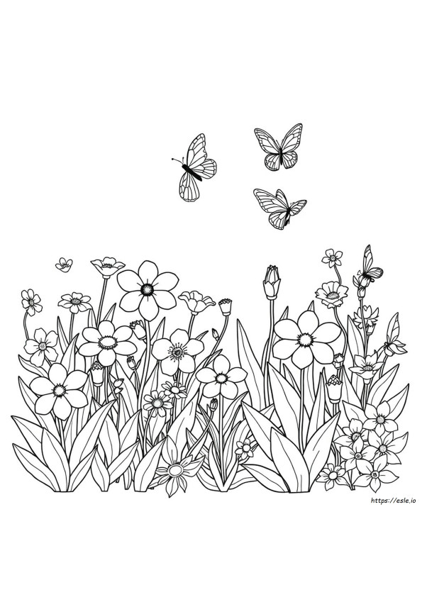Giardino Fiorito Da Colorare Per Adulti